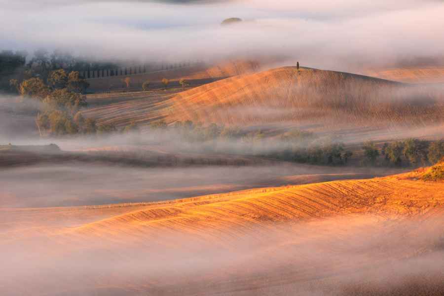 Tuscan mist